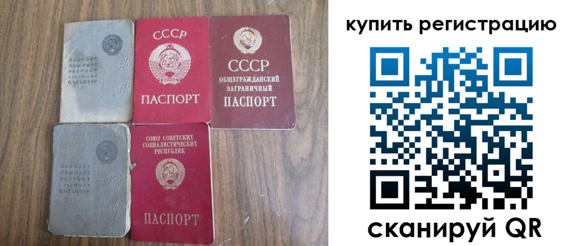 прописка для школы в Светлогорске